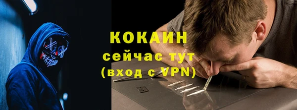 хмурый Лиски
