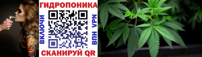 Канабис планчик  Купить где  Пересвет 